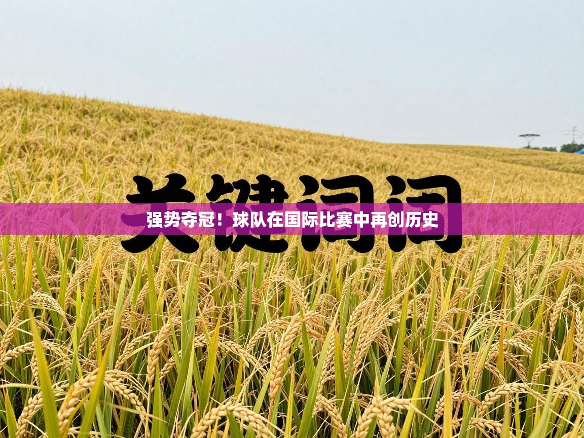 强势夺冠！球队在国际比赛中再创历史  第2张