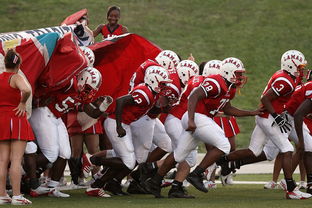 半岛体育在线-西悉尼流浪者赛前训练公开，备战世俱杯冲刺